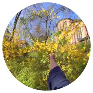 Snapchat Spectacles Video