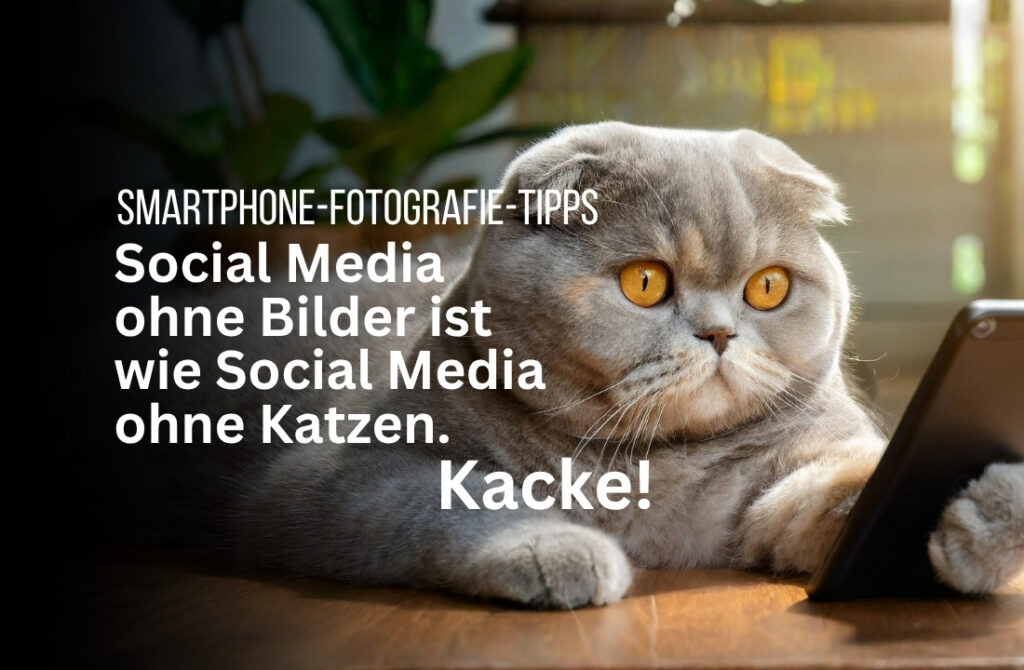 10 Tipps für Smartphone Bilder – Fotos für Blog & Social Media machen