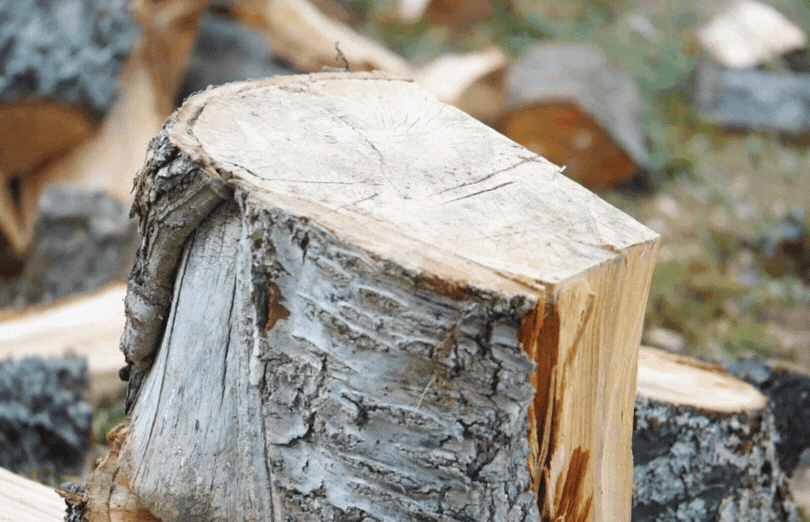 80/20-Content-Regel: Axt 2000 - Liebe liegt im Holz