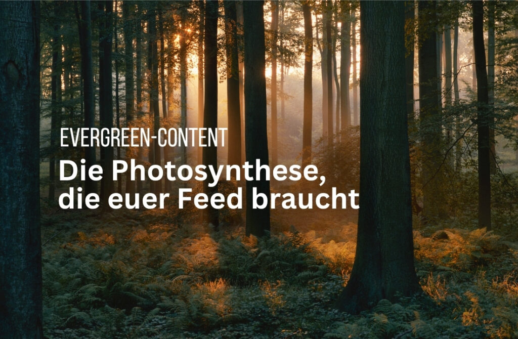 Evergreen-Content: Nachhaltige Strategien für Social Media