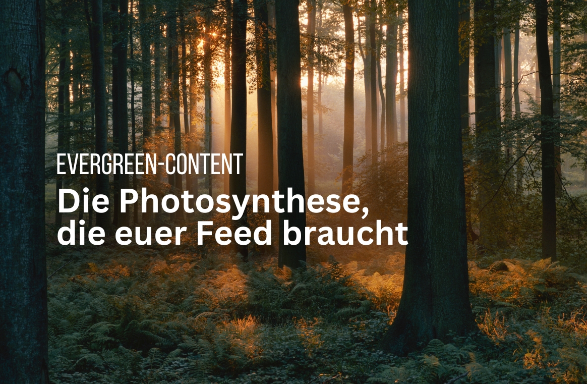 Evergreen-Content
