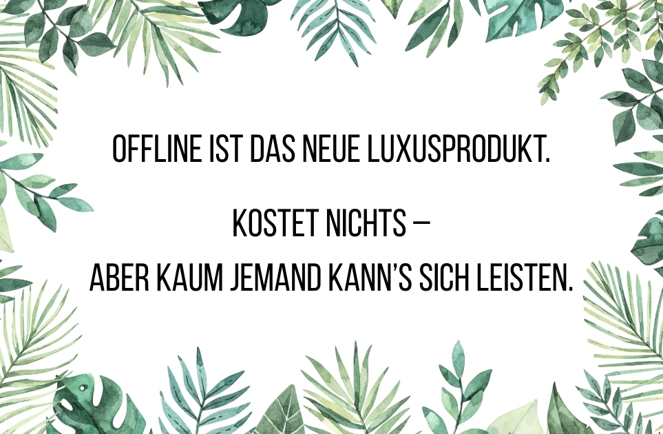 Social Media Detox: Kann man sich kaum leisten