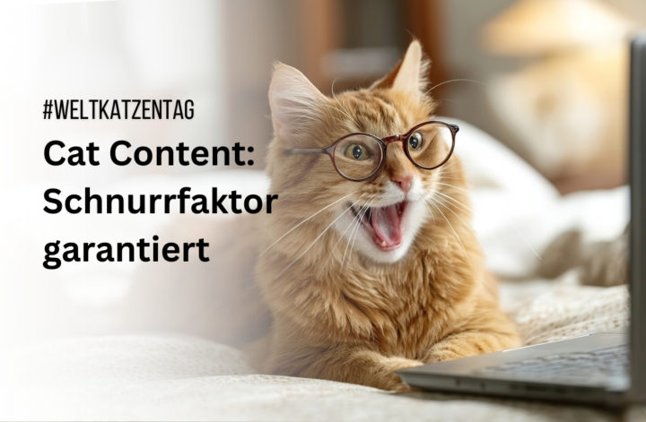 Weltkatzentag: Warum Cat Content das Web dominiert – und wir es lieben