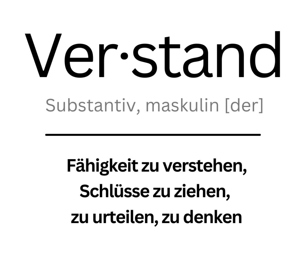 Verstand: Fähigkeit zu verstehen