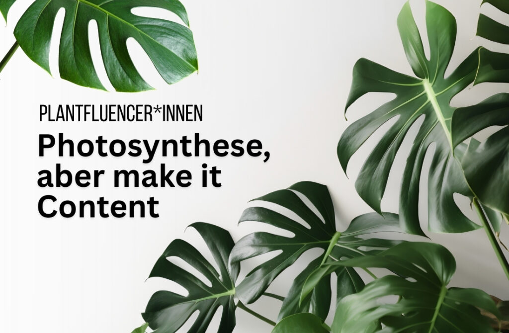 Plantfluencer: Zimmerpflanzen auf Social Media