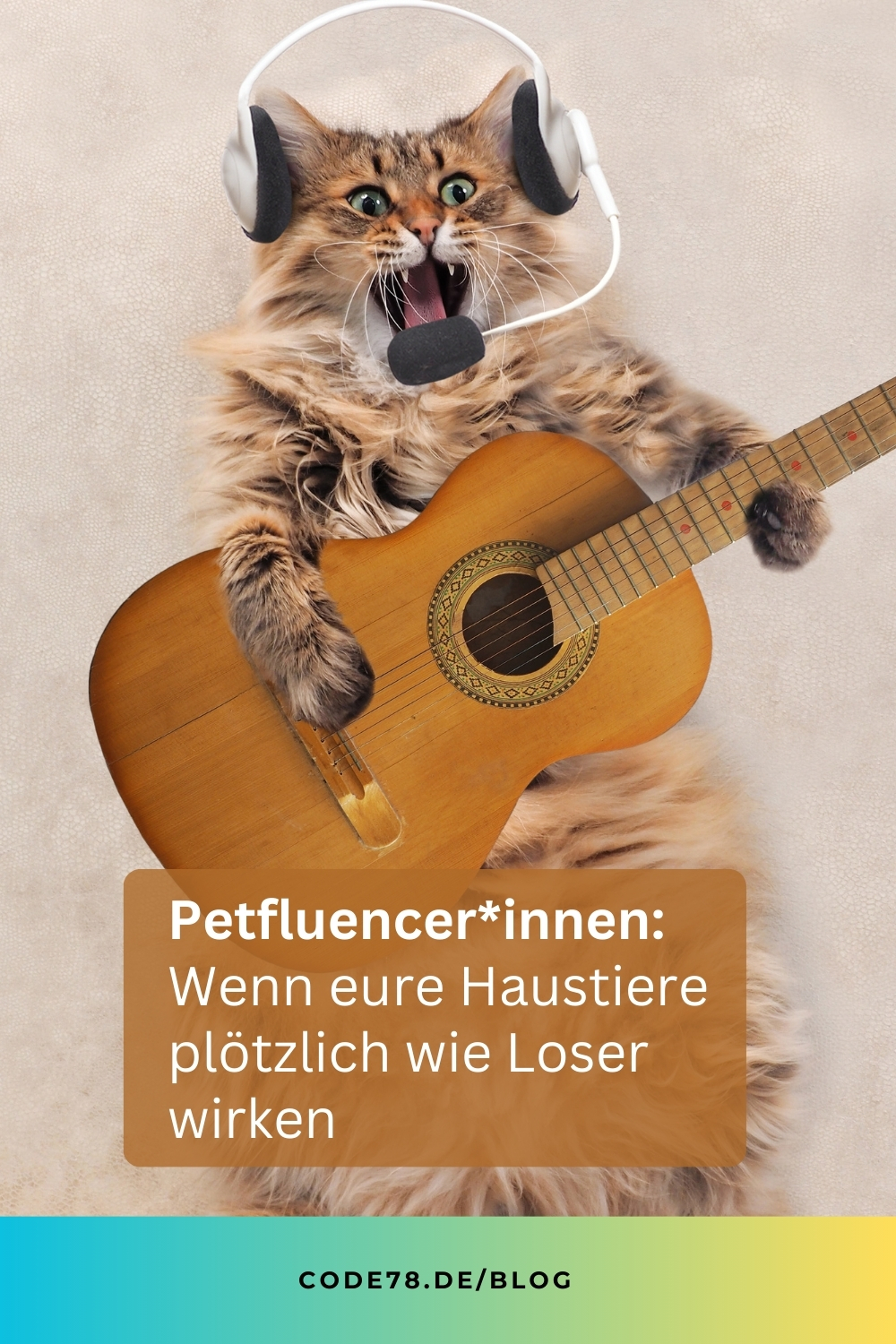 Petfluencer: Real Life vs Reel Life