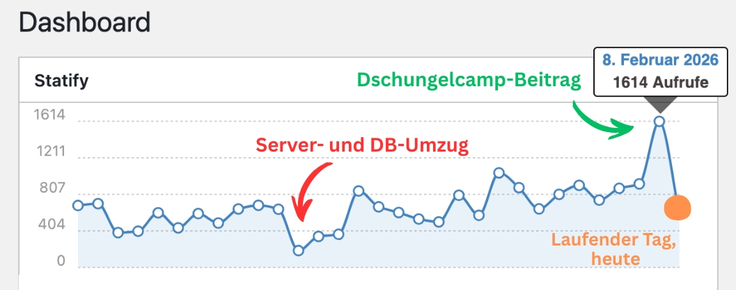 Case Study: Dschungelcamp sorgt für Buzz